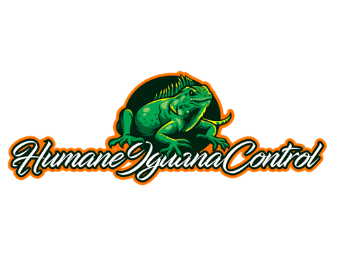 Humane Iguana.png
